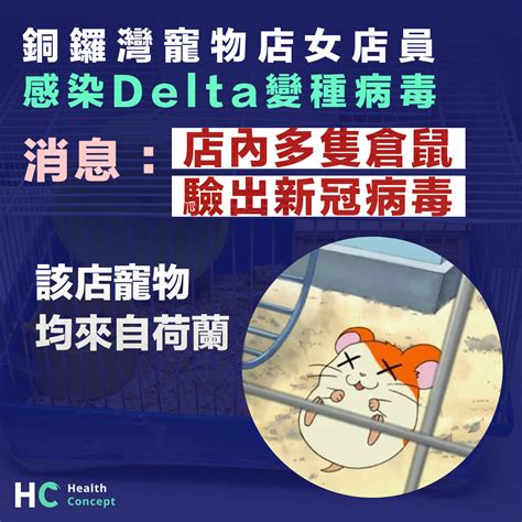 【動物傳人】銅鑼灣寵物店女店員 感染delta變種病毒 Health Concept