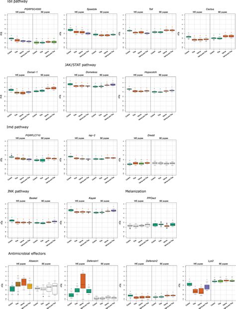 Box Plot Diagrams For Immune Related Gene Expression Each Box Plot