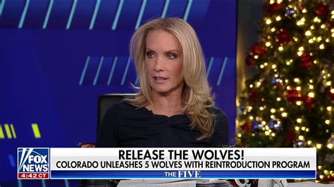 Dana Perino Liberal Priorities Seem To Be Getting More Unrealistic Fox News Video