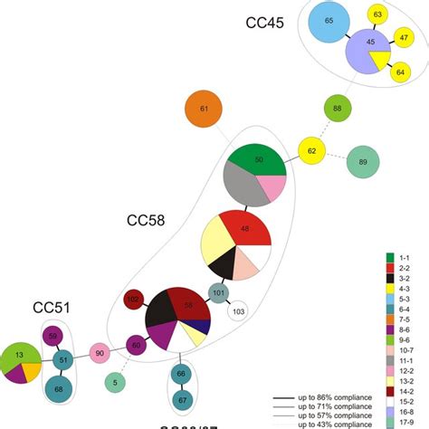 Clustering Of 82 S Gallolyticus Subspecies Gallolyticus Isolates From