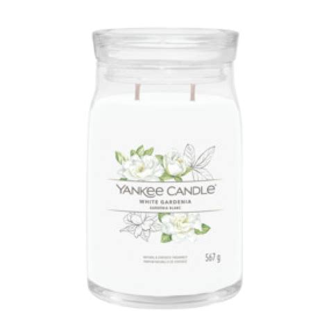 White Gardenia- Signature Large Jar Candle - The Candle Scentre