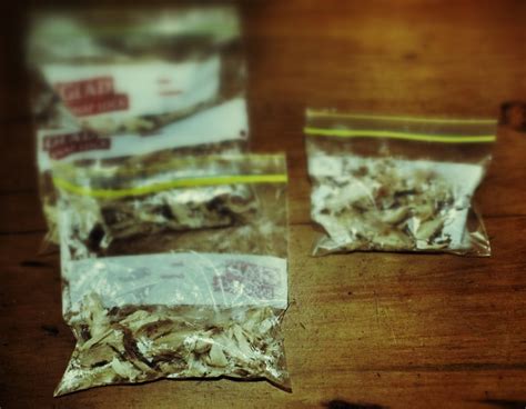 how to make chicken stock (and my mum's chicken soup) - Sarah Wilson