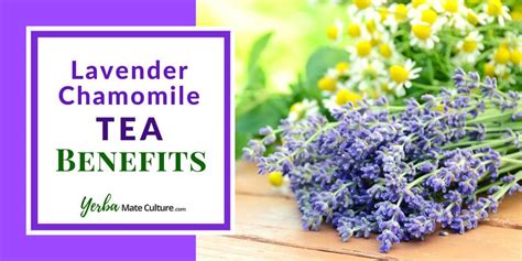 7 Lavender Chamomile Tea Benefits - Sleep, Anxiety & More!