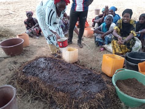 Agro Cologie En Action Les Femmes De Podor Lavant Garde Du