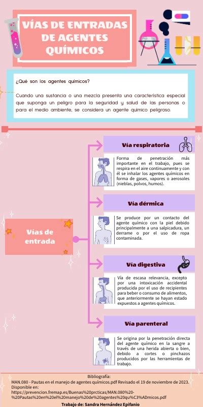 Infografía Vías de entradas de agentes químicos