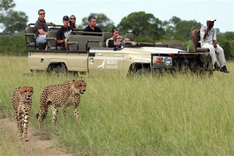 Kruger Safari & Mozambique Diving Mozambique Diving Holiday | Africa ...