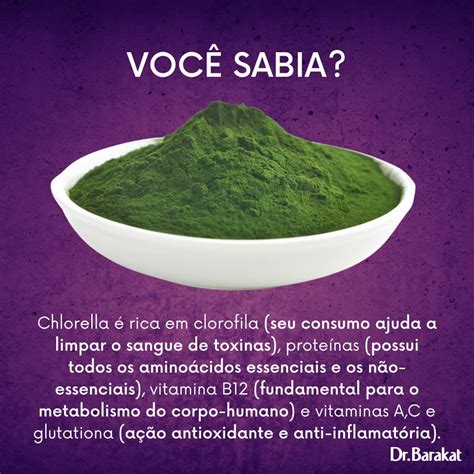 Benefícios da Chlorella Blog do Dr Barakat