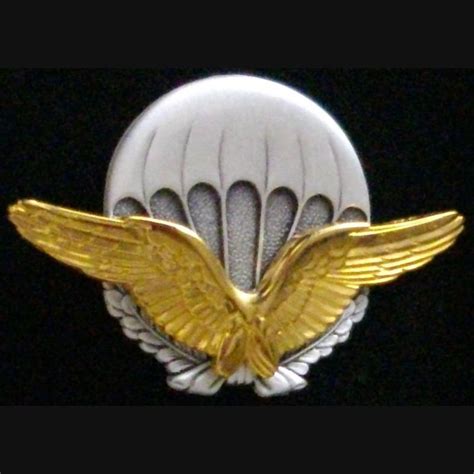 Brevet Militaire D Initiation Parachutiste De L Arm E De L Air