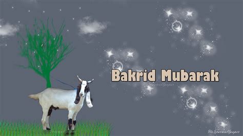 Bakra Eid Wallpapers - Wallpaper Cave