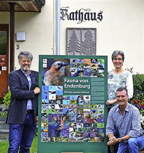 Was Alles So Kreucht Und Fleucht Steinen Badische Zeitung