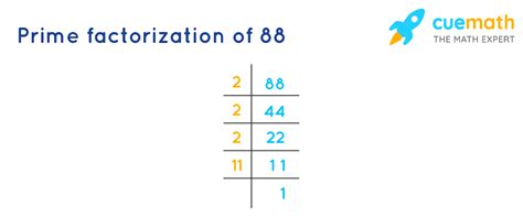 Factors Of 88 Find Prime Factorizationfactors Of 88