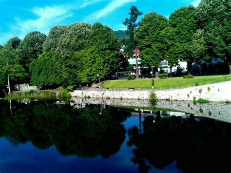 A Body Of Water Surrounded By Lots Of Trees