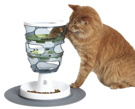 Interactive Cat Toys | Pet Age