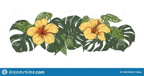 Composici n De Plantas Tropicales Y De Flores Del Hibisco Ilustración