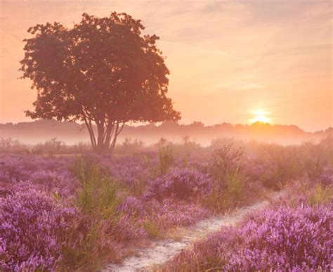 KS1 Seasons and Weather | Changes