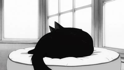 𝑴𝒆𝒐𝒘 ️|• | Black cat anime, Anime cat, Black and white gif