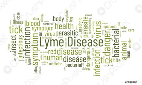 Lyme Disease Word Cloud Template Health And Medical Awareness Concept