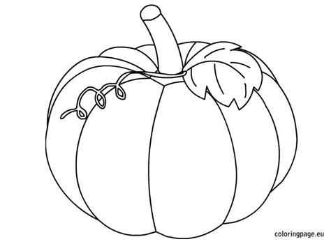 Butternut Squash Coloring Sketch Coloring Page