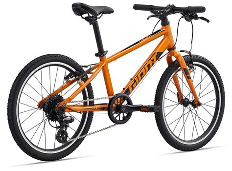 GIANT ARX 20 2023 Vélo montagne pour Enfant de 5 à 8 ans Roue 20 po