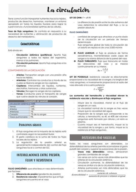 Resumen La Circulaci N Malu Medical Udocz