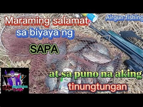 Salamat Sa Biyaya Ng Ilog At Sa Punong Aking Tinungtungan BAM FISH