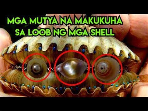 Mga Mahiwagang Mutya Na Makukuha Sa Loob Ng Mga Shell Youtube