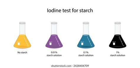 Iodine Test Starch Chemical Experiment Carbohydrates Stock Vector ...