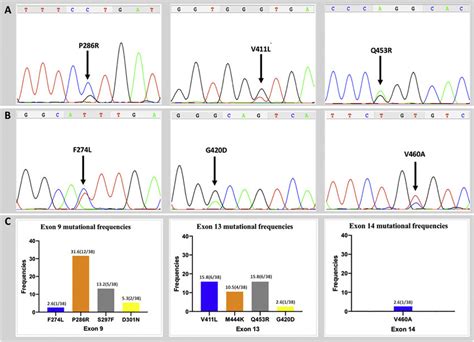 Representative Sequencing Electropherograms Of Pole Mutations The