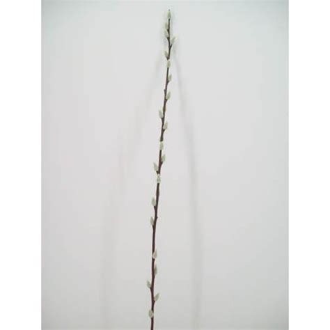 Pussy Willow Stem 100cm Artificial Flowers