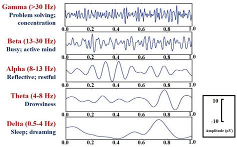 Frontiers The Application Of Electroencephalogram In Driving Safety