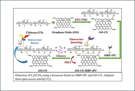 Biomedical Applications Of Graphene Based Nanomaterials Recent Progress Challenges And