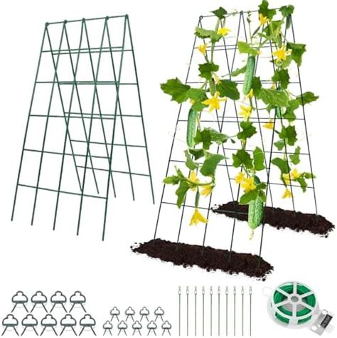 Amazon Cucumber Trellis For Raised Beds X Inch Adjustable