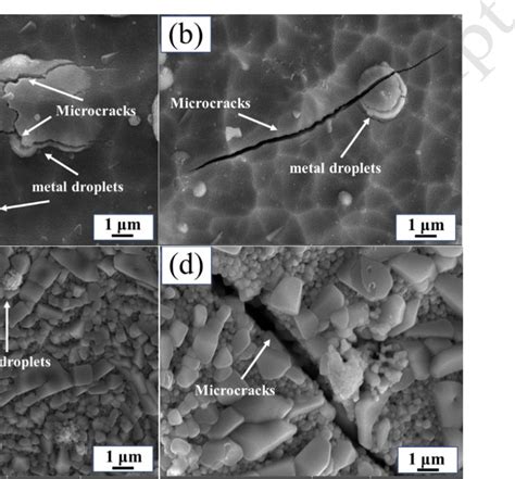 Surface Morphology Of NiCr YSZ Coating With Different Thermal Shock