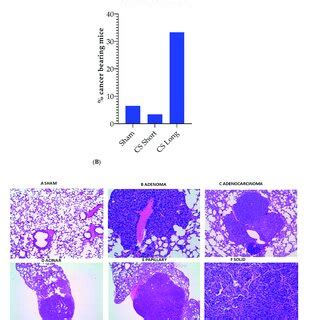 Regression Analysis Of The Relationship Between Kras Mutation Amount