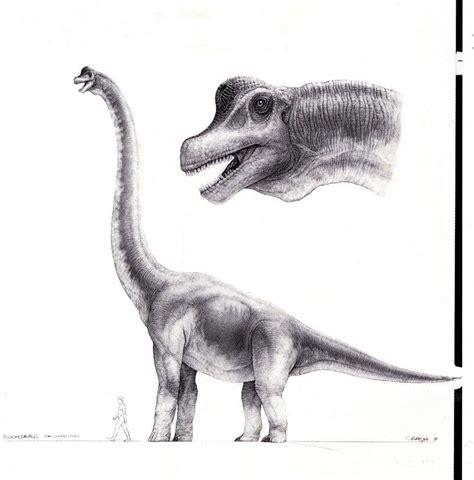 Jurassic Park Brachiosaurus Drawing