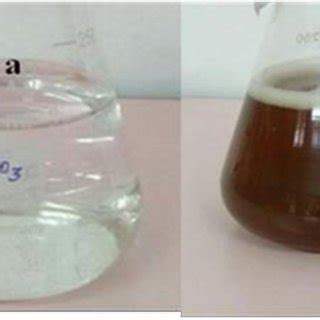 The aqueous solution of 1mM AgNO3 with S. amplexicaulis leaf extract ...