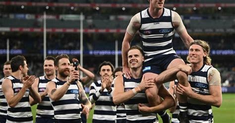 A Look At The Cats AFL Prelim Final Win The Canberra Times