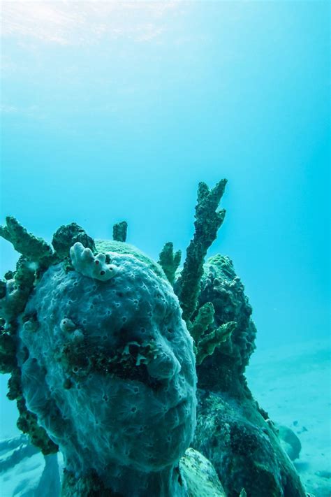 Mingling With Mermaids Diving Into Grenada S Culture Camels