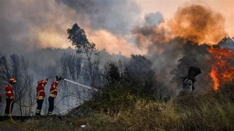 Les Feux De Forêt Reprennent De Plus Belle Au Portugal Rtbf Actus