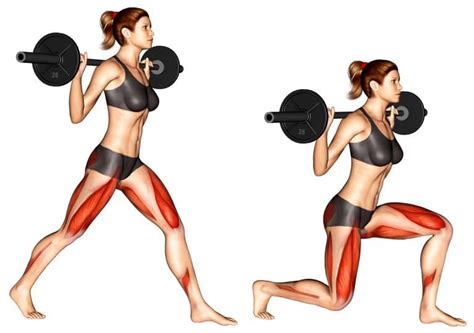 Barbell Split Squat Guide How To Benefits Muscles Worked Variations