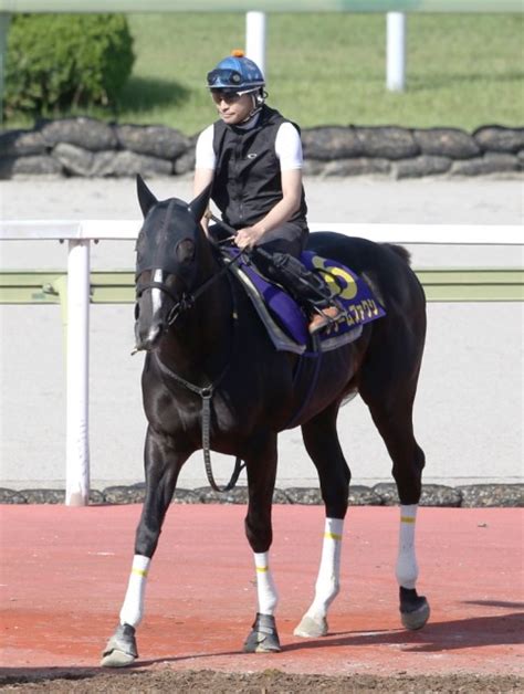 【日本ダービー・調教best5】堂々の1位は「同世代とは“体力”が違う！」と絶賛の声 他にも穴馬がランクイン 2ページ目 競馬専門紙「優馬」