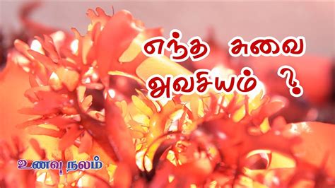 Arusuvai Samayal Recipes In Tamil Why Should We Include Arusuvai