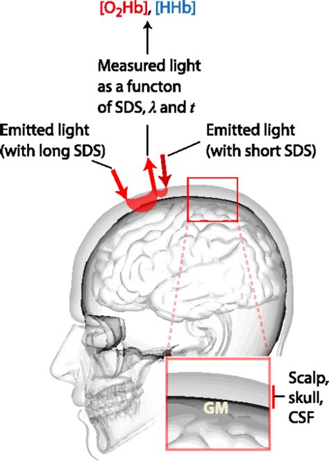 Systemic Physiology Augmented Functional Near Infrared Spectroscopy A