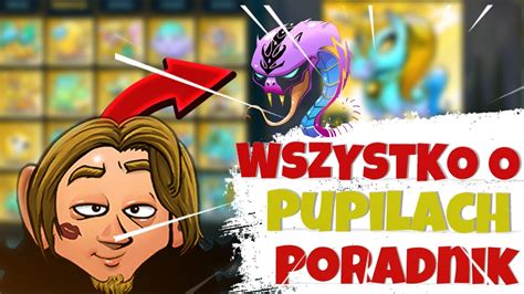 PORADNIK O PUPILACH WSZYSTKO CO I JAK OD PODSTAW SHAKES FIDGET