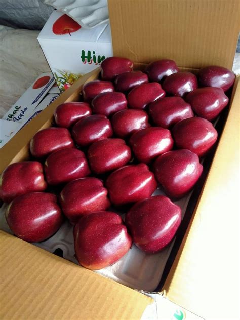 Himachali A Grade Fresh Apple In Shimla Packaging Size Packaging