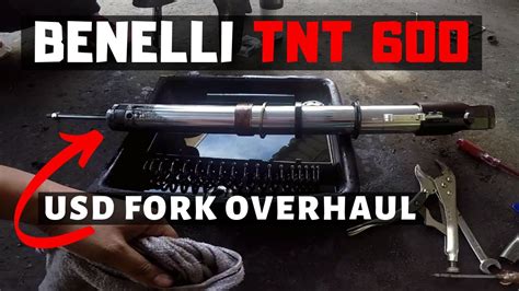 How To Benelli Tnt Usd Fork Service Fork Oil Seal Youtube