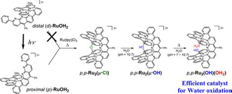 New Series Of Dinuclear Ruthenium II Complexes Synthesized Using