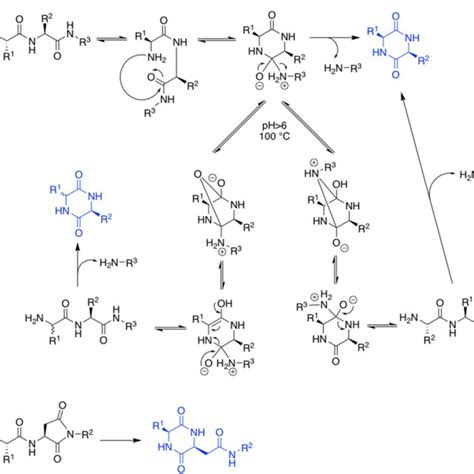 Scheme 3 Possible Oxidation Processes Of A C Cystine And D Cysteine Download Scientific Diagram