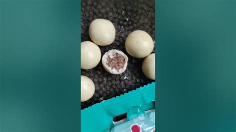 Lidl White Chocolate Coconut Choc Balls Food Chocolate Asmr Candy