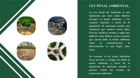 Ley Penal Ambiental Ppt